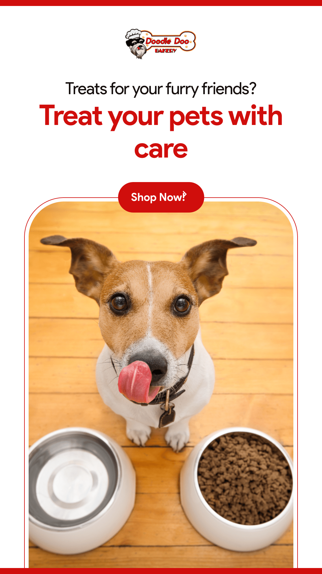 Party Bag Treat Blend 1lb - Homemade Dog Treats - lifestyle view