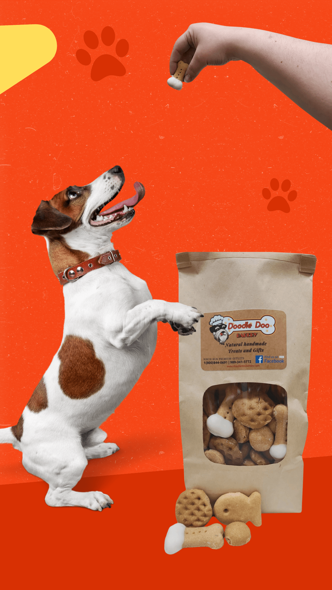 Party Bag Treat Blend 1lb - Homemade Dog Treats - main product image