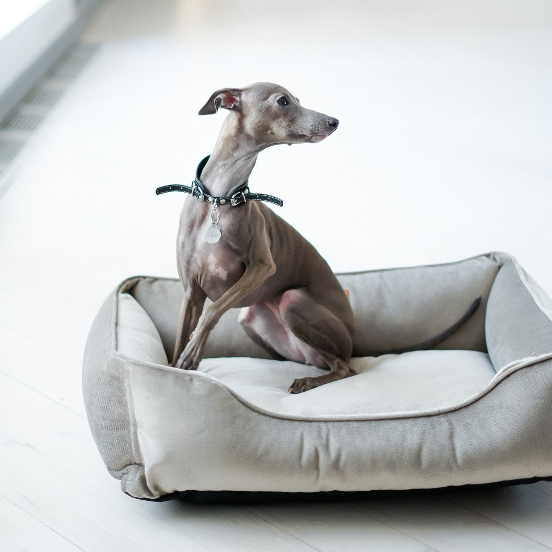 Classic Gray Velvet Sleeper for Elegance and Royal Comfort main product image for dogs and cats