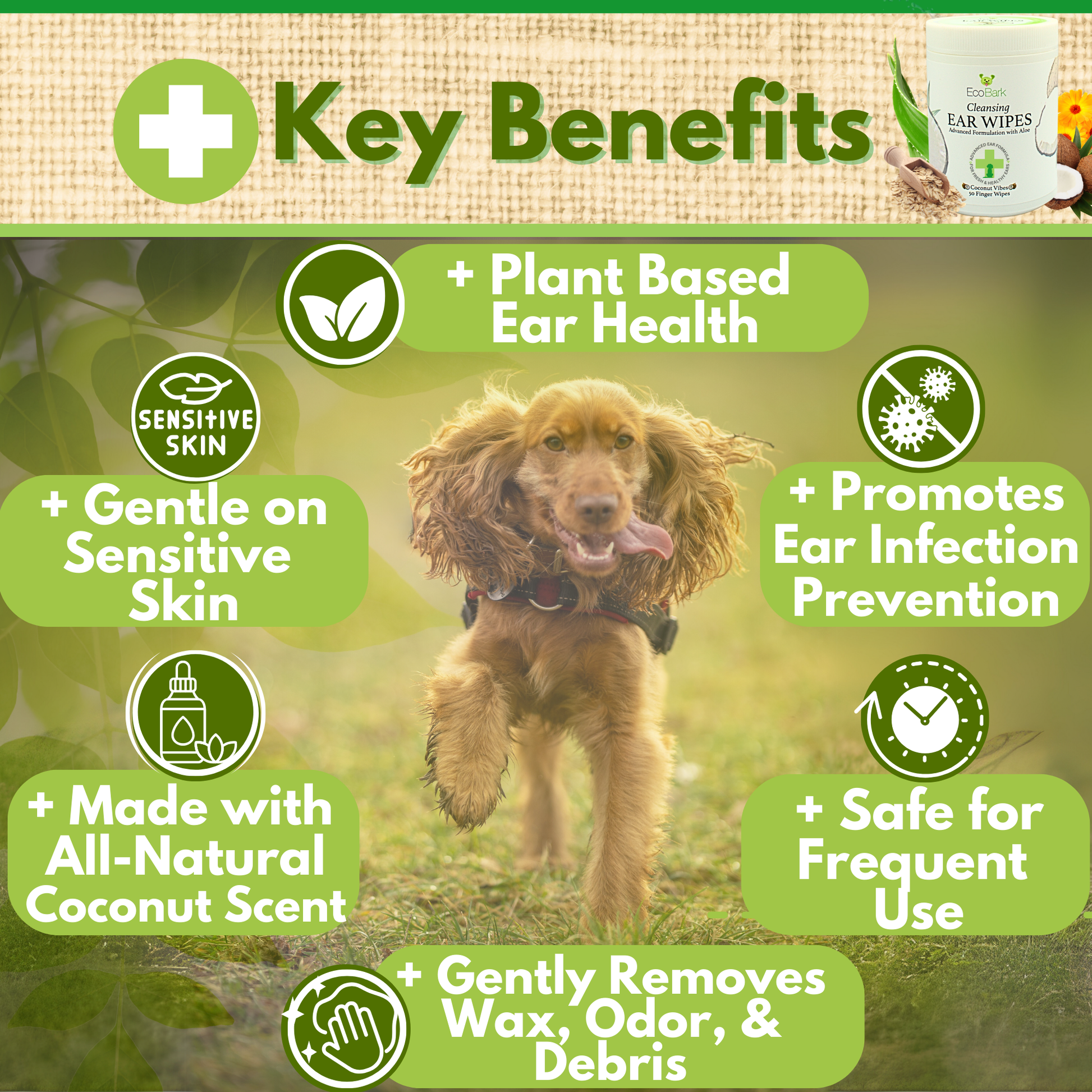 Dog Supply Natural Ear Finger Wipes EcoBark Coconut Essentia - gallery product image for dog supply