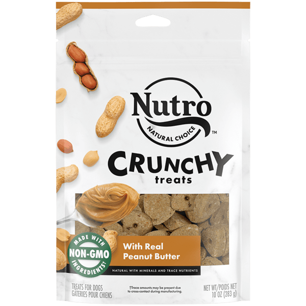 Dog Treats Premium Peanut Butter Chews 10oz Training Rewards - main product image