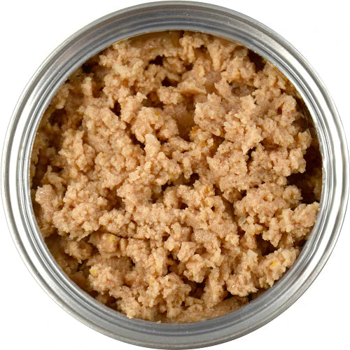 Evanger's All Life Stages Classic Beef Wet Dog Cans (12.5oz) - lifestyle view