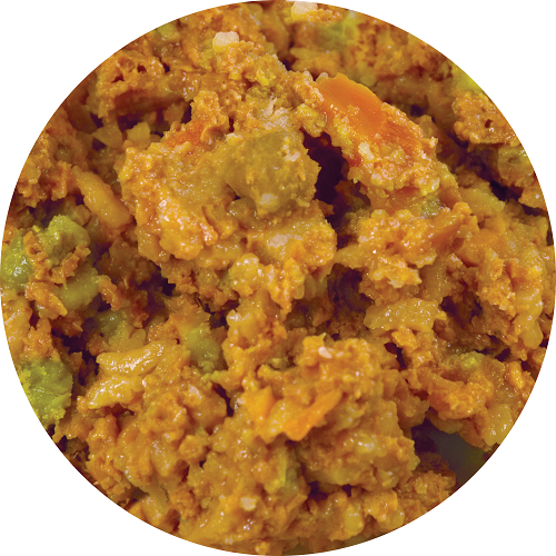 Evangers Complements Grain Free All Life Stages Vegetarian - lifestyle view