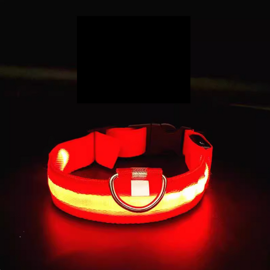 LED Glowing Pet Collar - Red - detail view