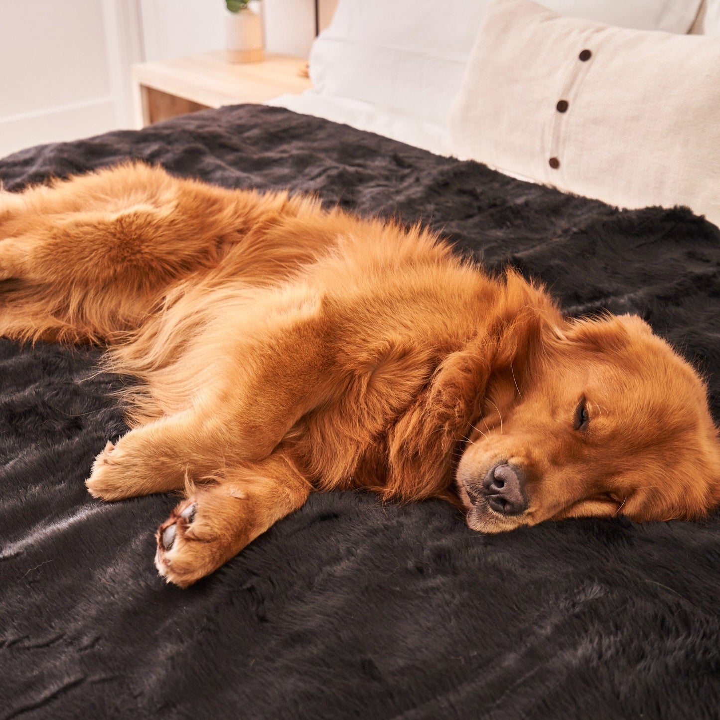 Waterproof Pet Blanket Soft Throw Midnight Black Washable - gallery image 7