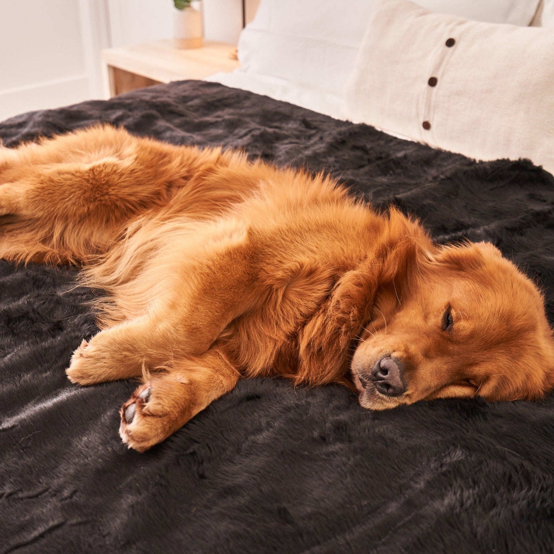 Waterproof Pet Blanket Soft Throw Midnight Black Washable - gallery image 7