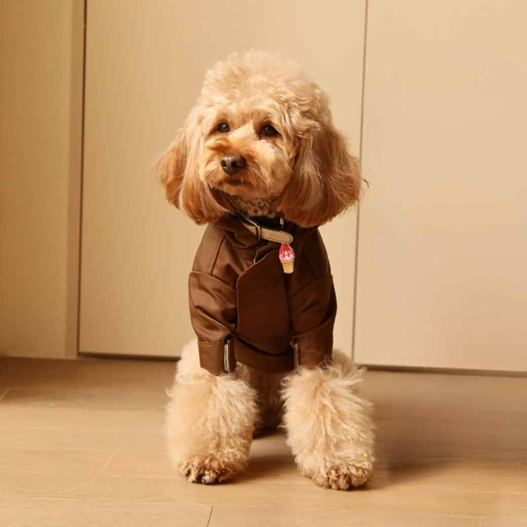 Tribeca Adjustable Velcro Raincoat Choco Dog Apparel Premium - gallery image 6