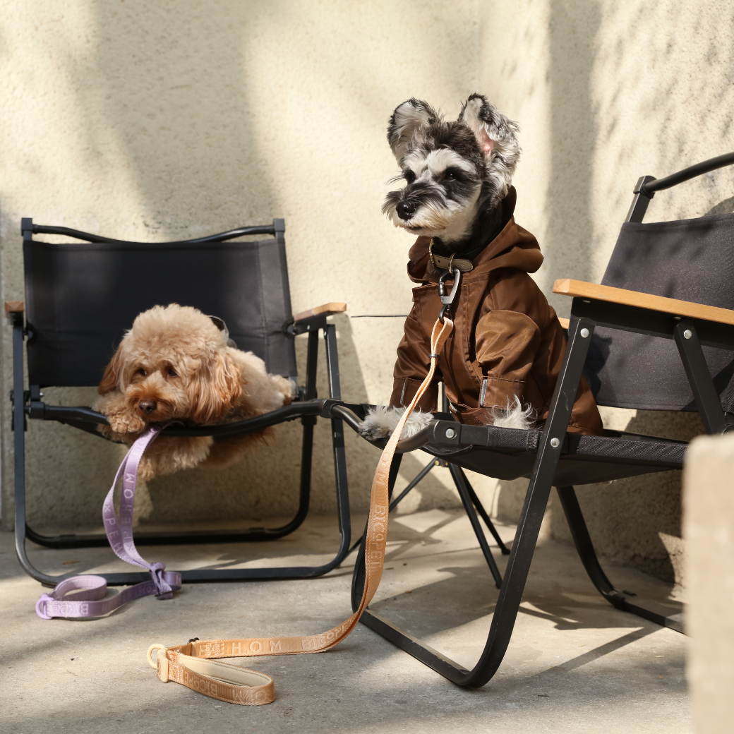 Tribeca Adjustable Velcro Raincoat Choco Dog Apparel Premium - gallery image 5