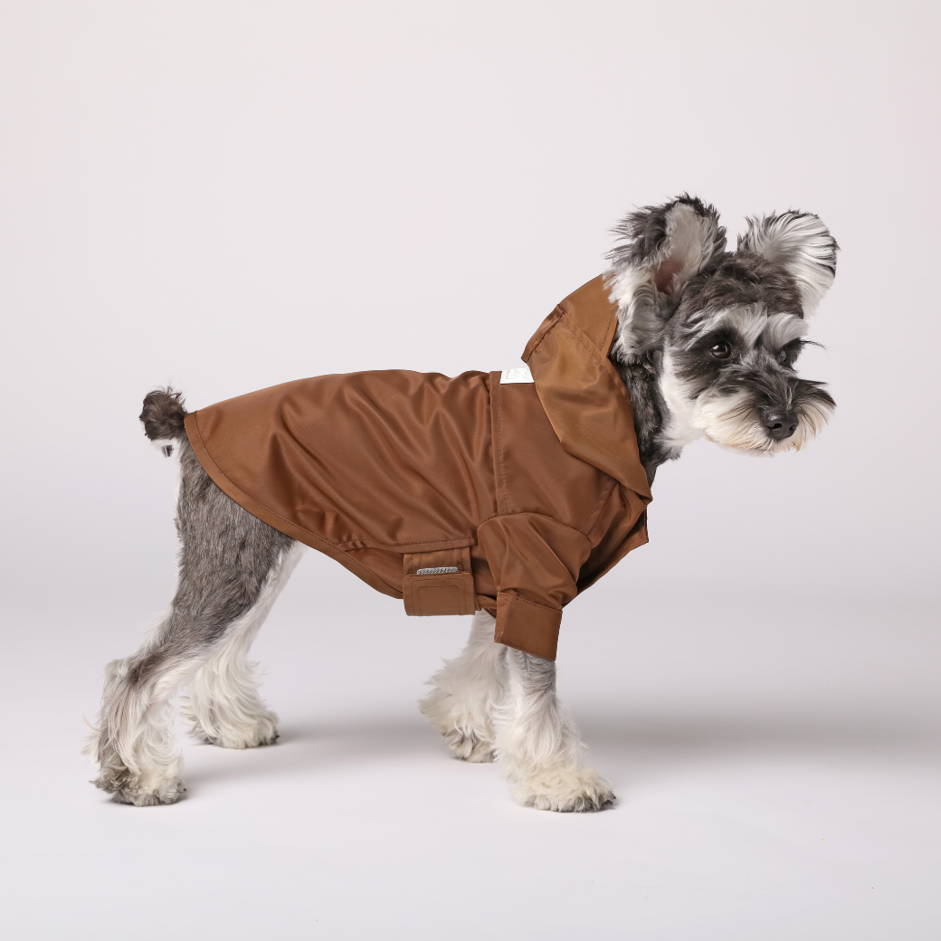 Tribeca Adjustable Velcro Raincoat Choco Dog Apparel Premium - lifestyle view