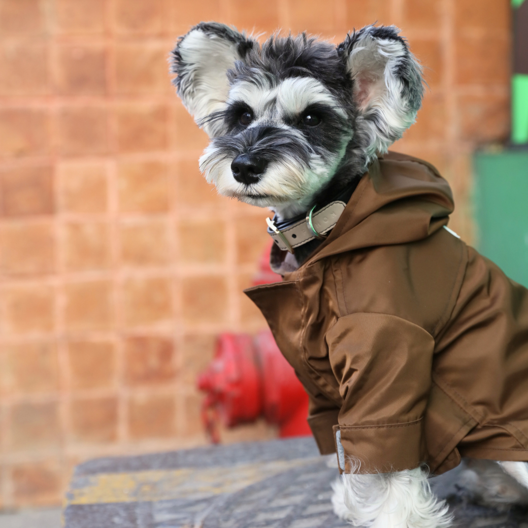 Tribeca Adjustable Velcro Raincoat Choco Dog Apparel Premium - gallery image 7