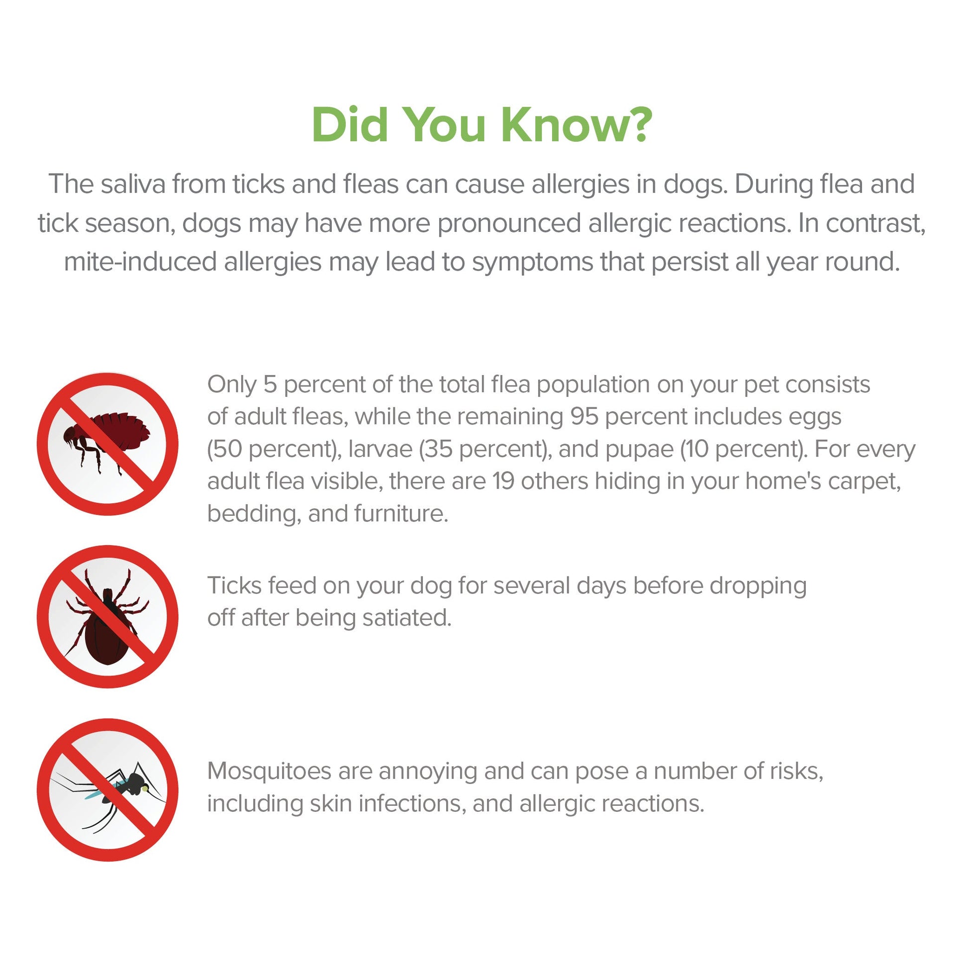 Flea and Tick Spray Refill for Dogs - lifestyle view