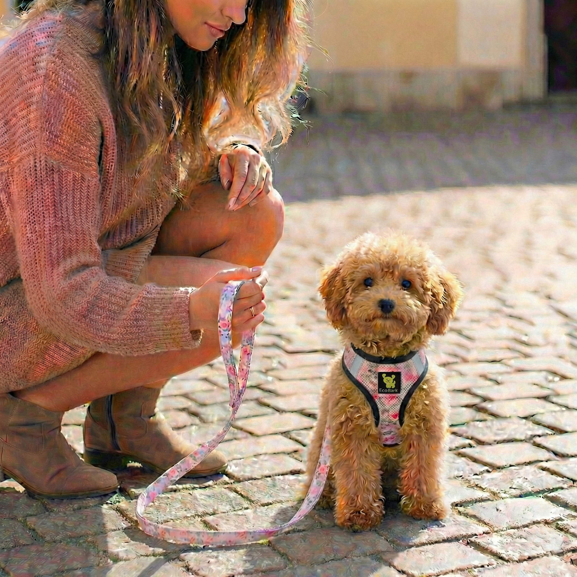 Eco Style Dog Leash for Daily Walks for Royal Pet Homes - Dog Leash view 2 from Purrfect Pet Kingdom