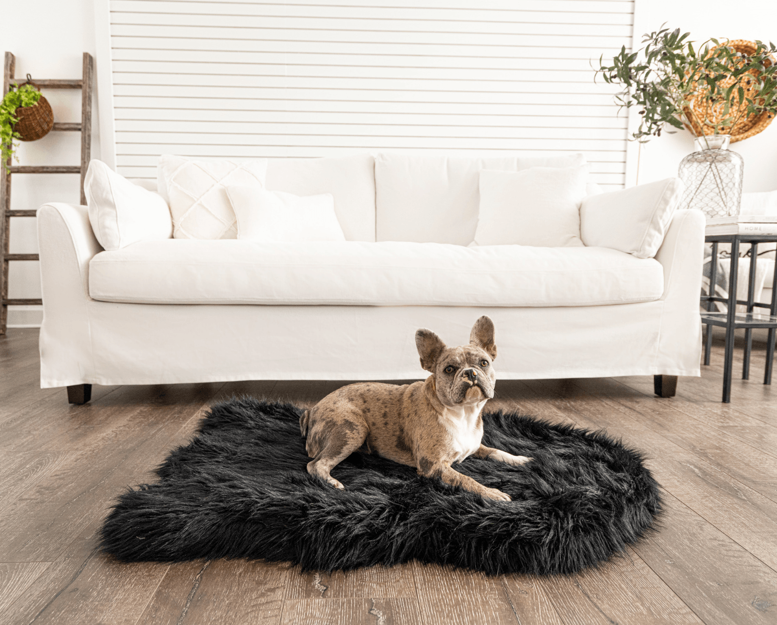 Memory Foam Dog Bed Faux Fur Midnight Black Orthopedic Comfo - close up view