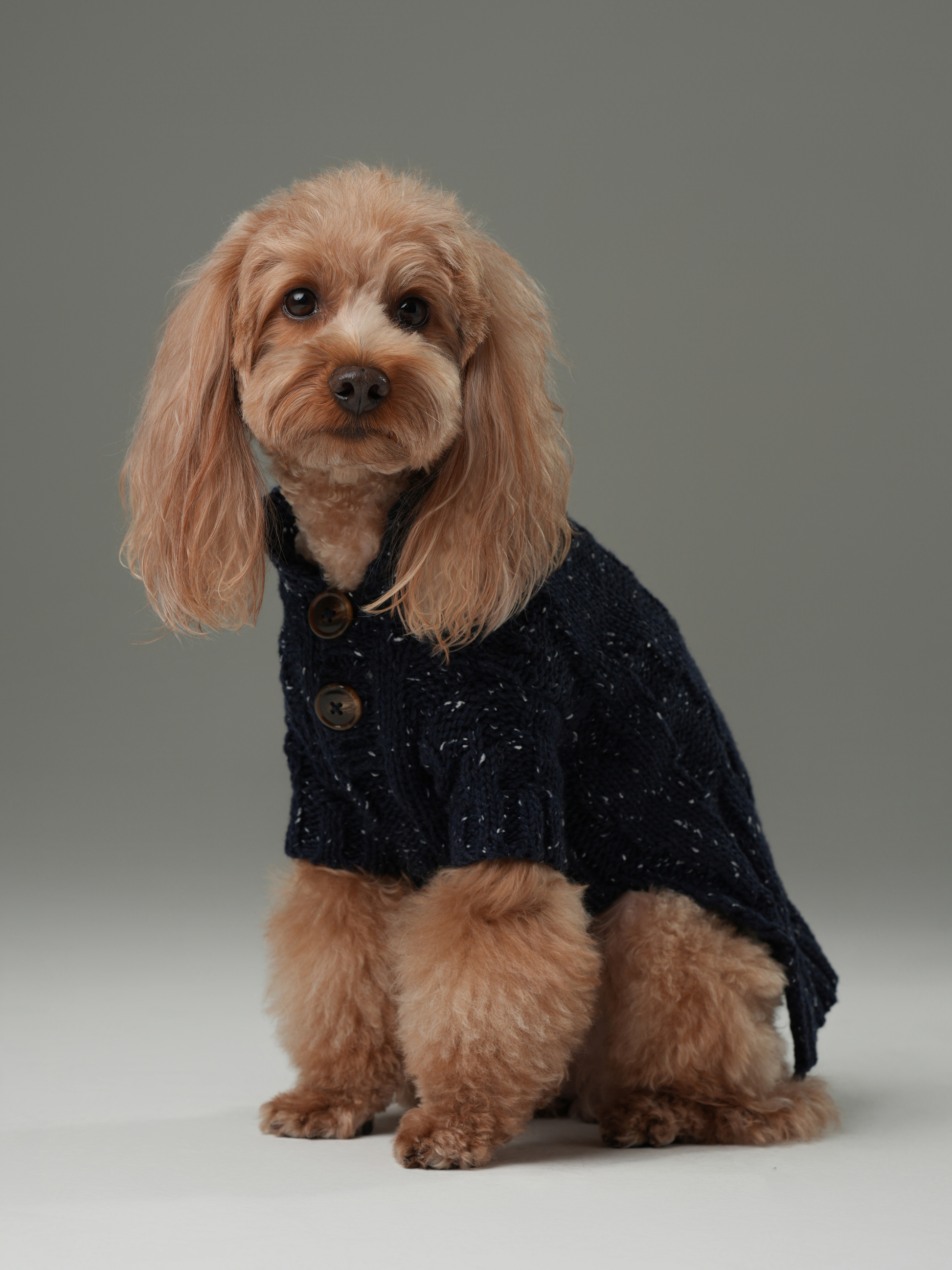Glacier Pet Sweater Navy Dog Sweaters Premium Pet Supply - main product image