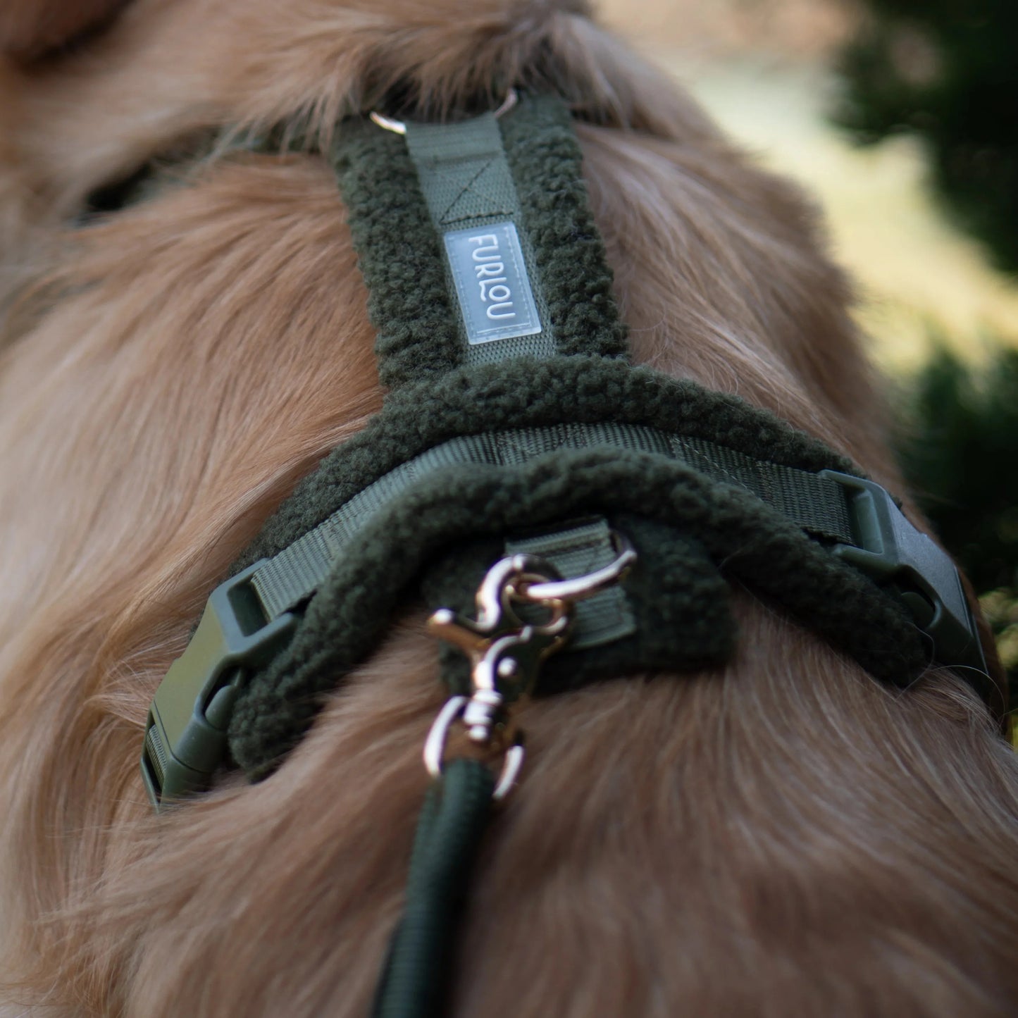 Dog Harnesses Moss Green Sherpa Dog Harness Premium Pet - lifestyle view