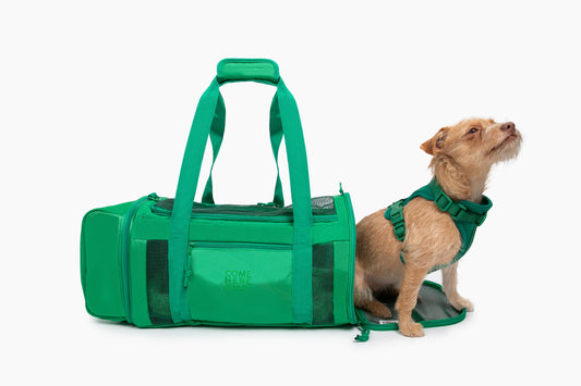 Travel Buddy - Pet Carrier - detail view