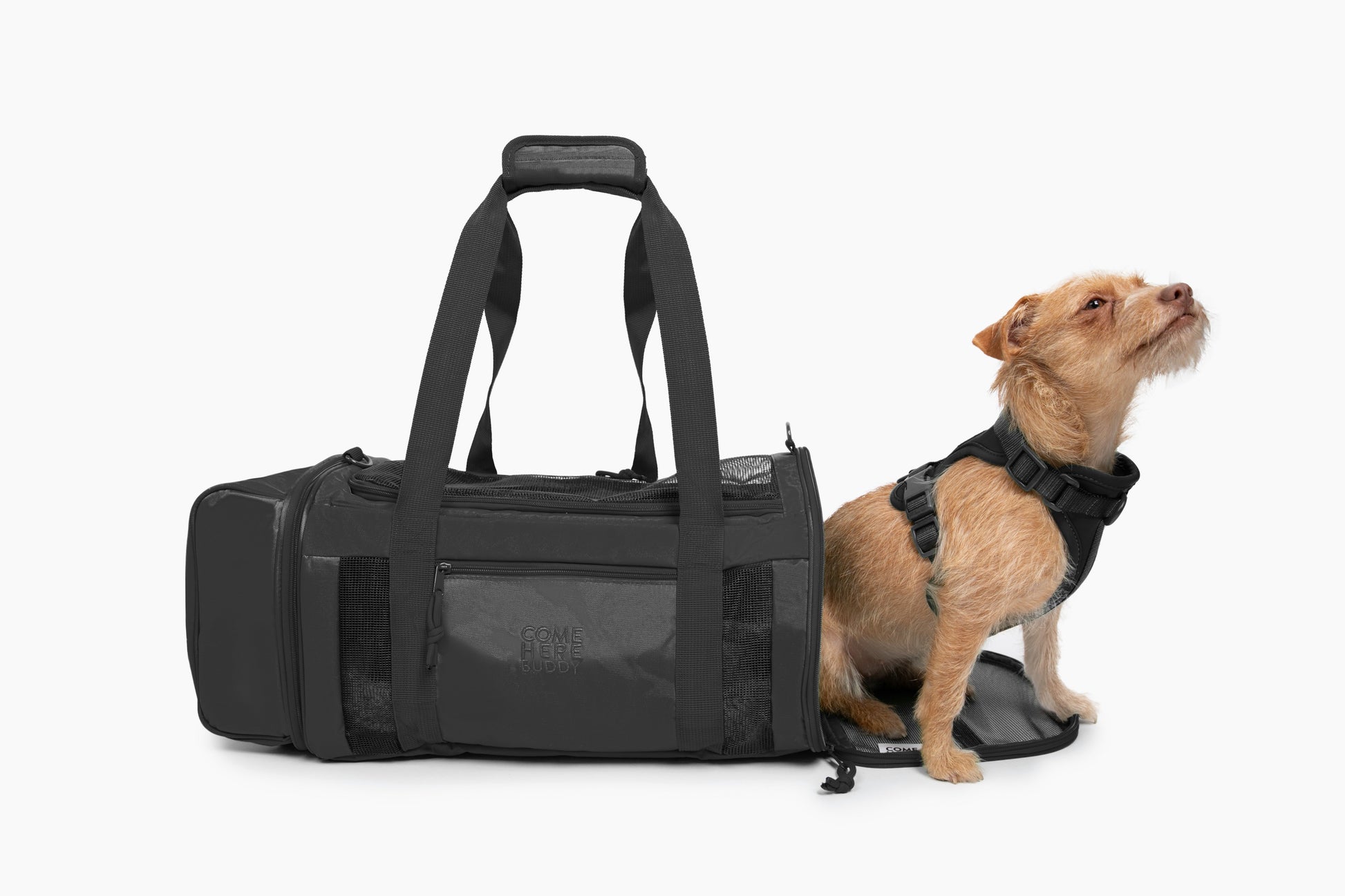 Travel Buddy - Pet Carrier - gallery image 6