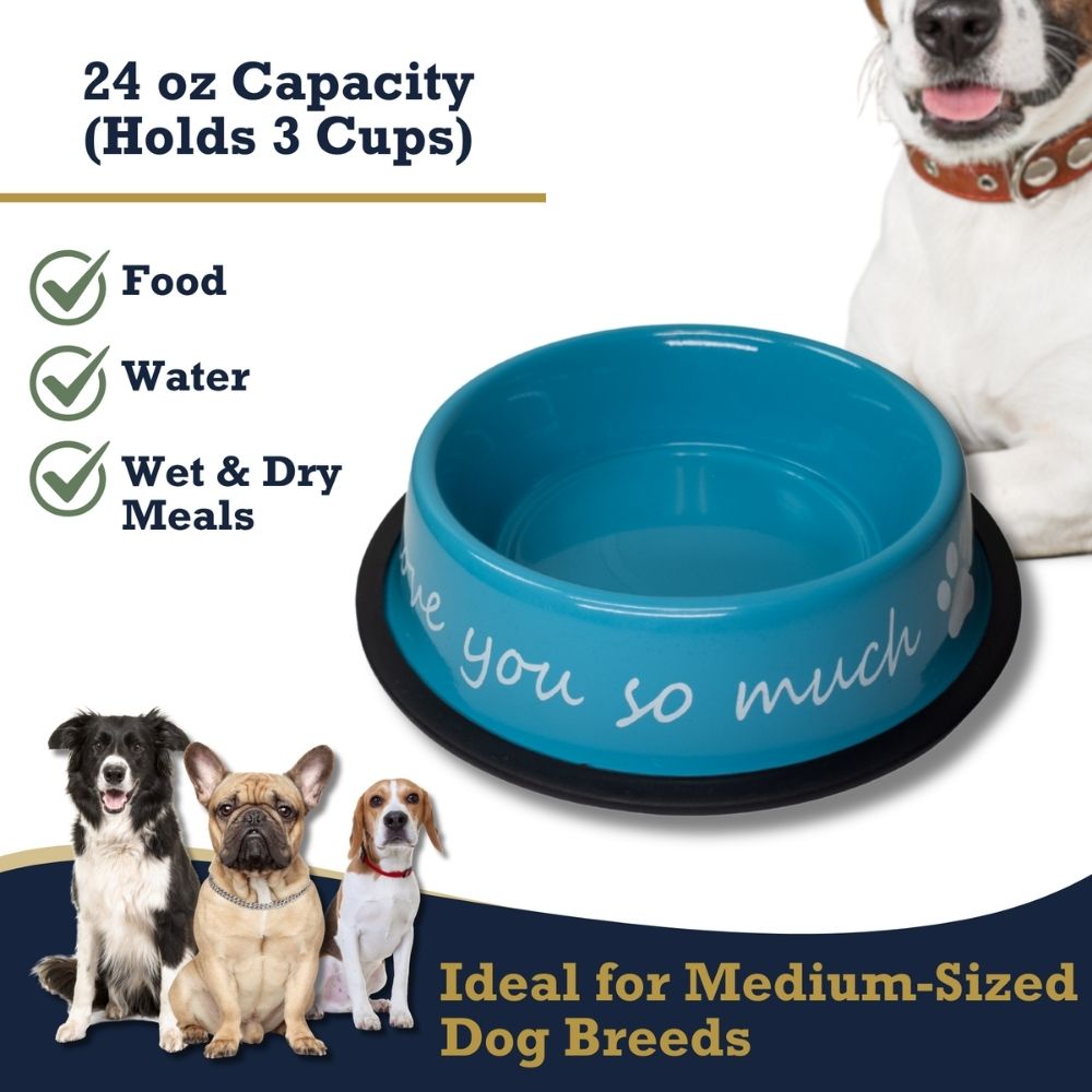 Dog Feeder LOVE YOU SO MUCH Modern Stainless Steel Bowl - gallery product image for dog feeder