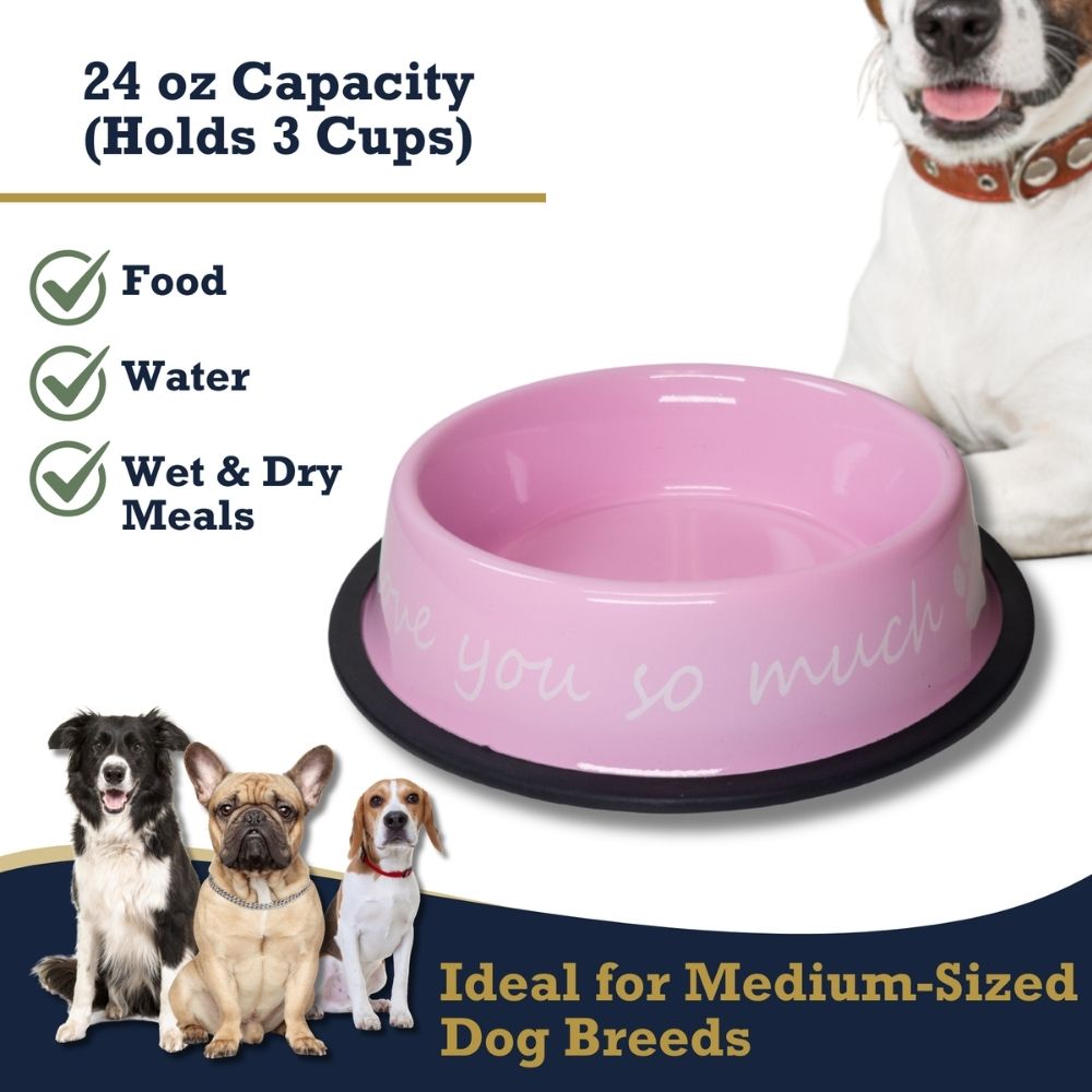 Dog Feeder LOVE YOU SO MUCH Modern Stainless Steel Bowl - size and texture image for dog feeder