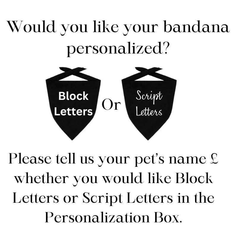 Birthday Dog Bandana - gallery image 8