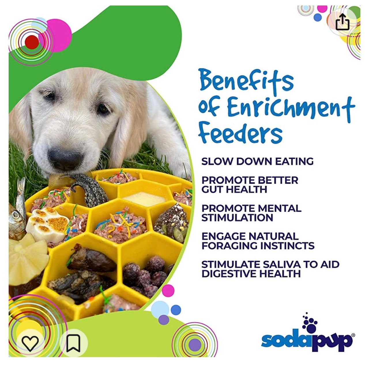 Honeycomb Ebowl Deep Slow Feeder Dog Bowl For Enrichment USA - close up view