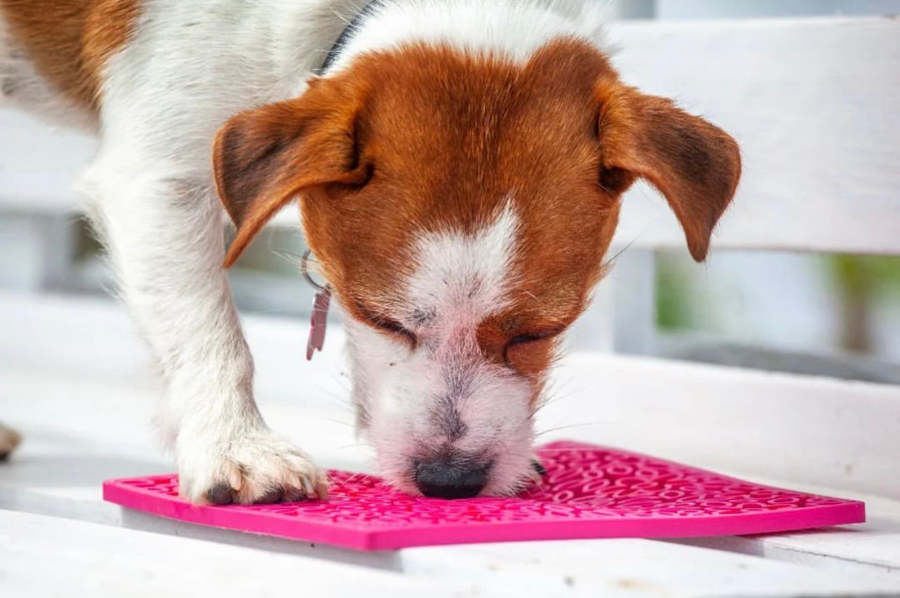Flower Power Emat Enrichment Lick Mat For Dogs And Cats USA - gallery image 7