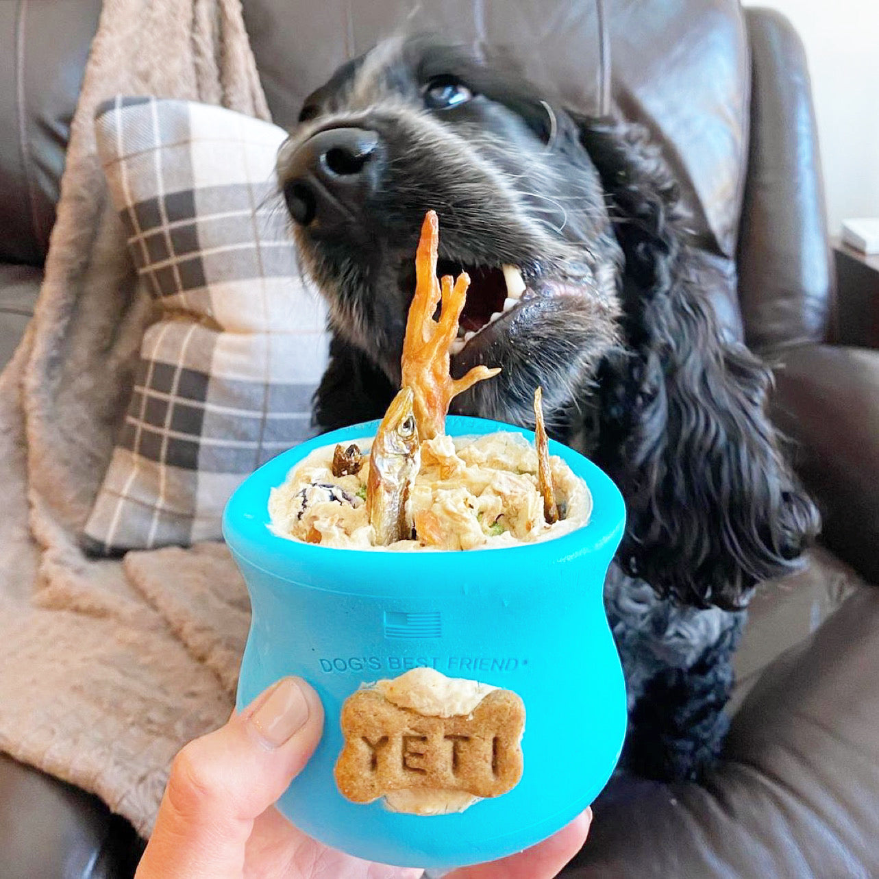 Dog Treats Chicken Feet Single Ingredient Chews Natural Rewa - gallery image 5