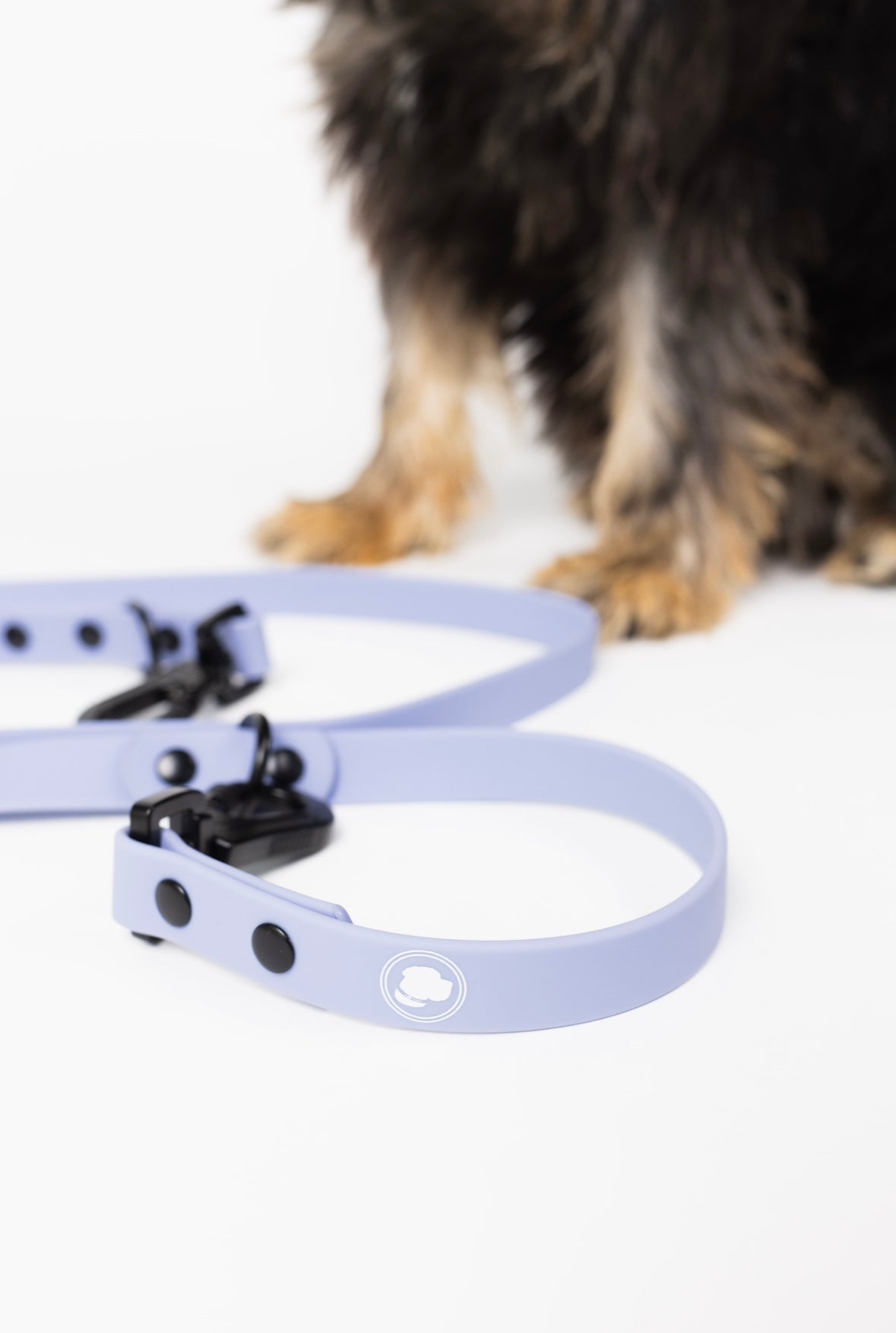 Dog Leash Accessory Lavender Purple Everyday Accessory Essen - main product image for dog leash