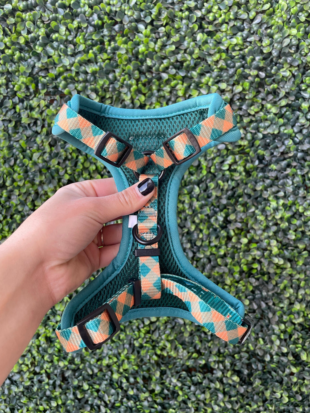 Dog Harness Harness Camping for Adjustable Walking Harness - detail product image for dog harness