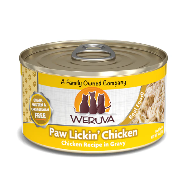 Wet Cat Food Weruva Chicken Recipe Daily Daily Meals Premium - main product image