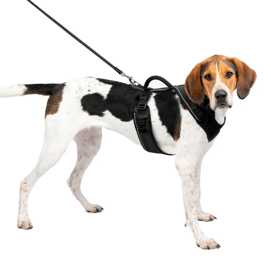 Petsafe Easysport Harness Black Lg Adjustable Dog Walking - main product image