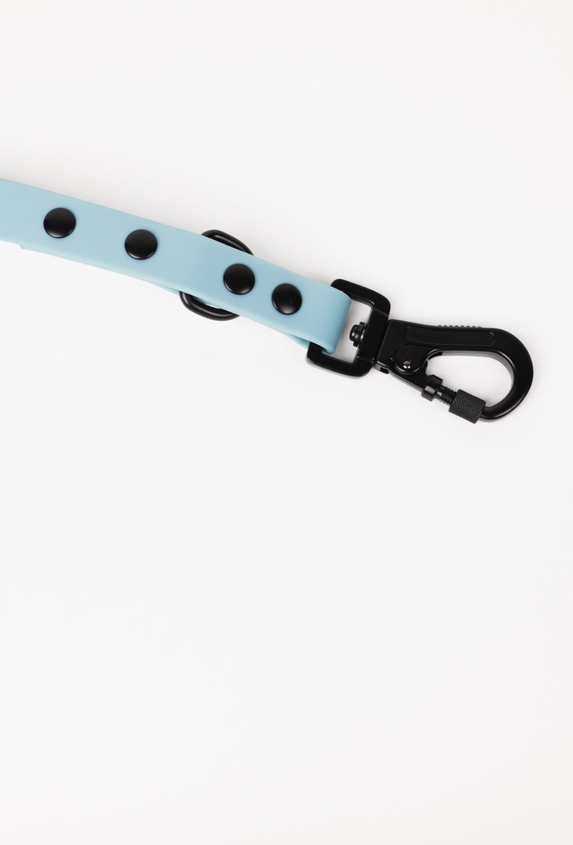 Dog Leash Accessory Dusty Blue Adjustable Everyday Accessory - lifestyle product image for dog leash