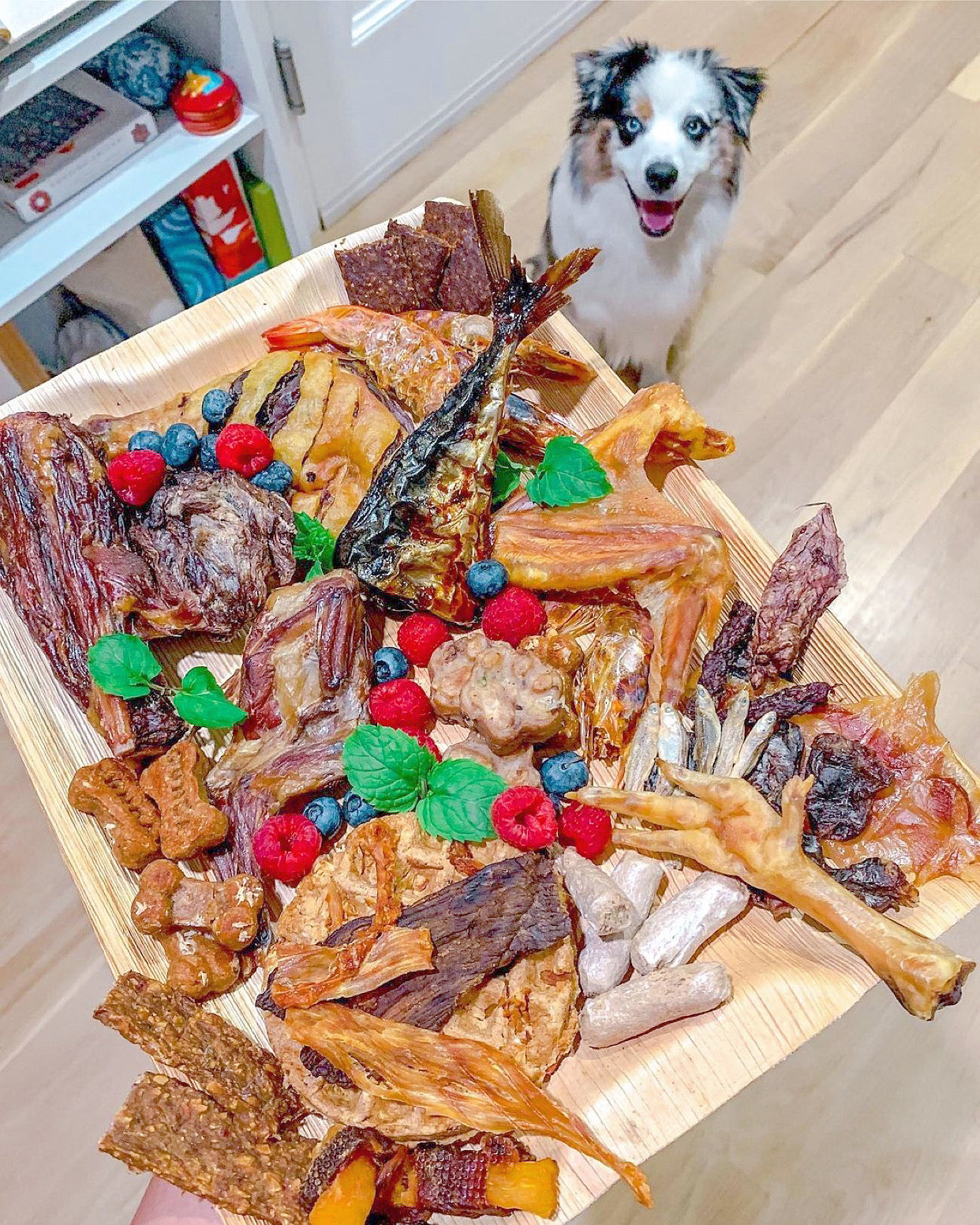 Dog Treats Lamb Shank Single Ingredient Chews Natural Reward - gallery image 14