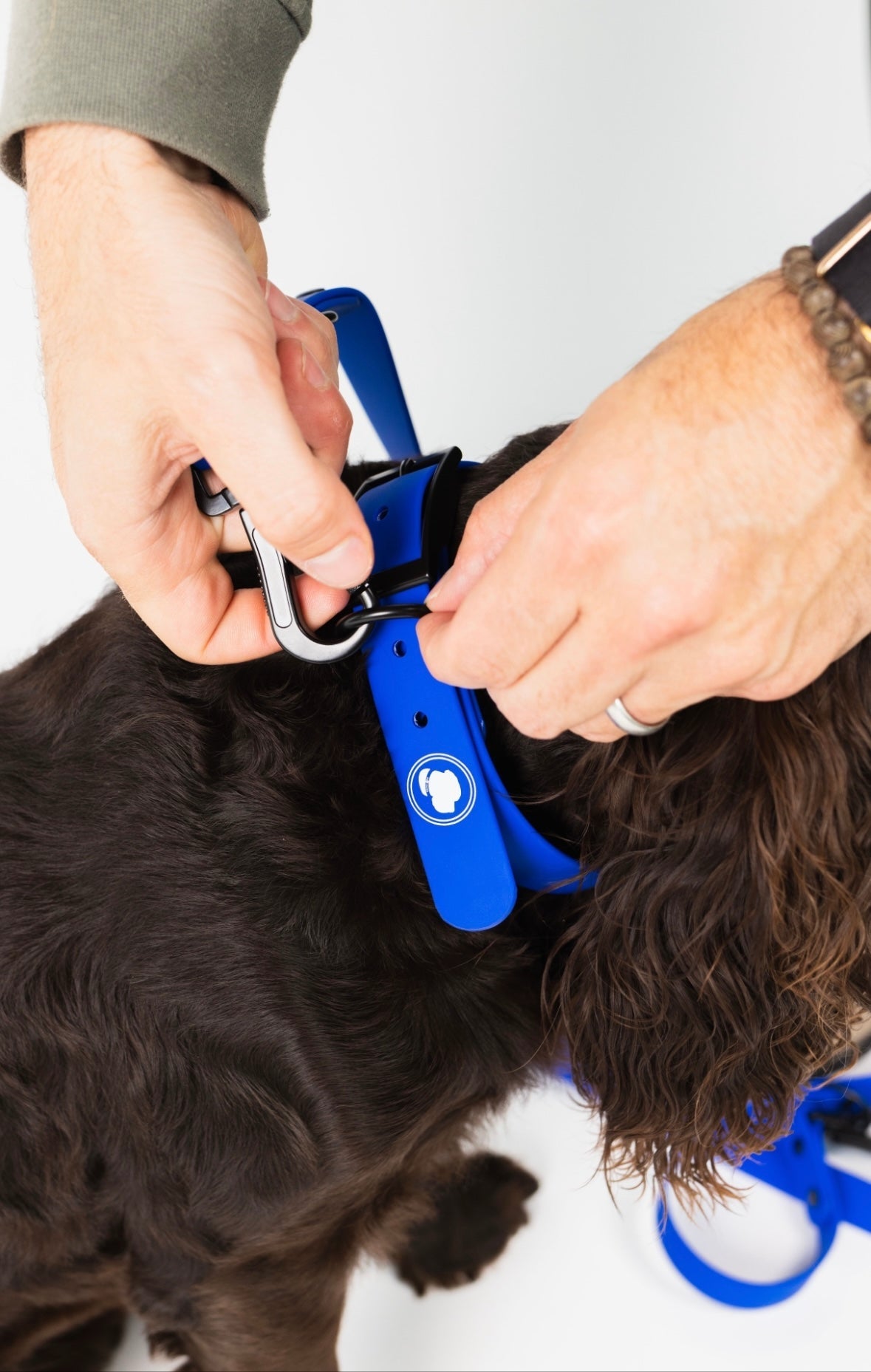 Dog Collar Collar Blue Weather Adjustable Walking Collar - close up product image for dog collar