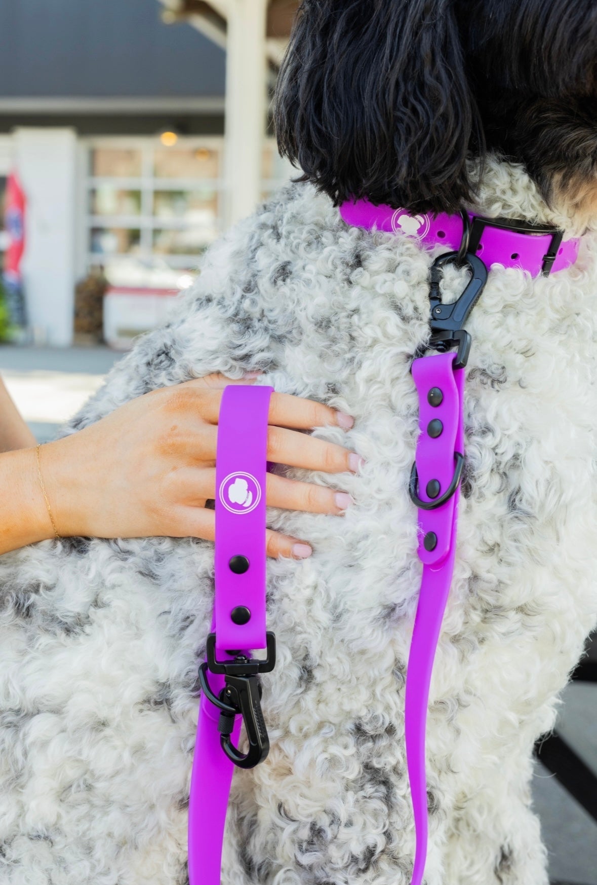 Dog Collar Collar Electric Fuchsia Adjustable Walking Collar - size and texture image for dog collar