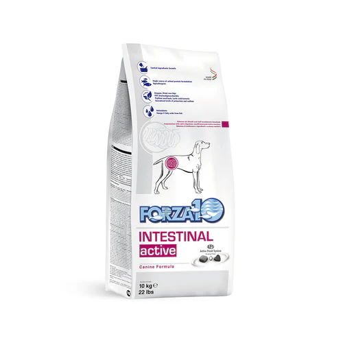Forza10 Adult Anchovy Intestinal Active Dog Food Dry Dog - lifestyle view
