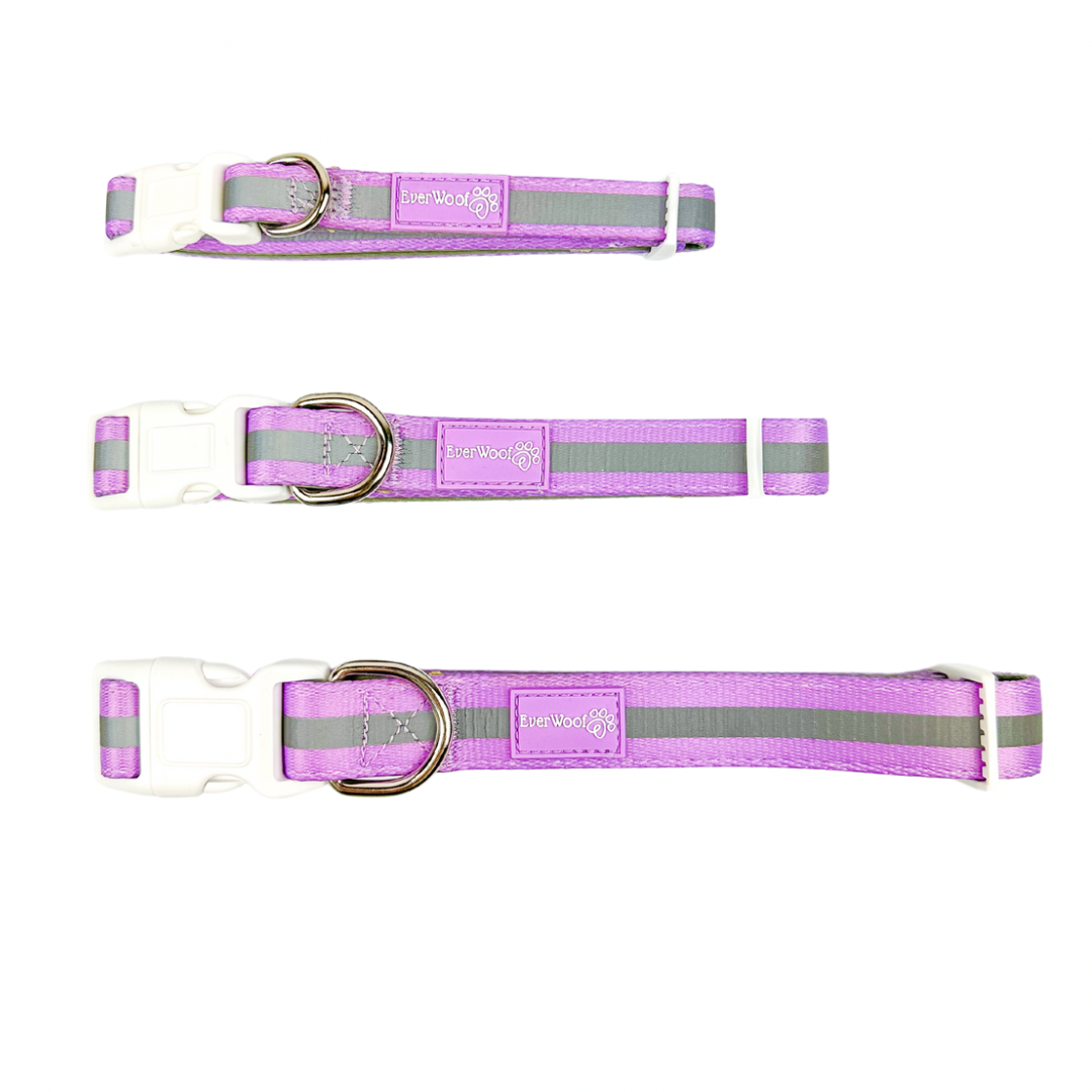 Pet Collar Collar Shine Bright Amethyst Collar for Daily Use - lifestyle product image for pet collar