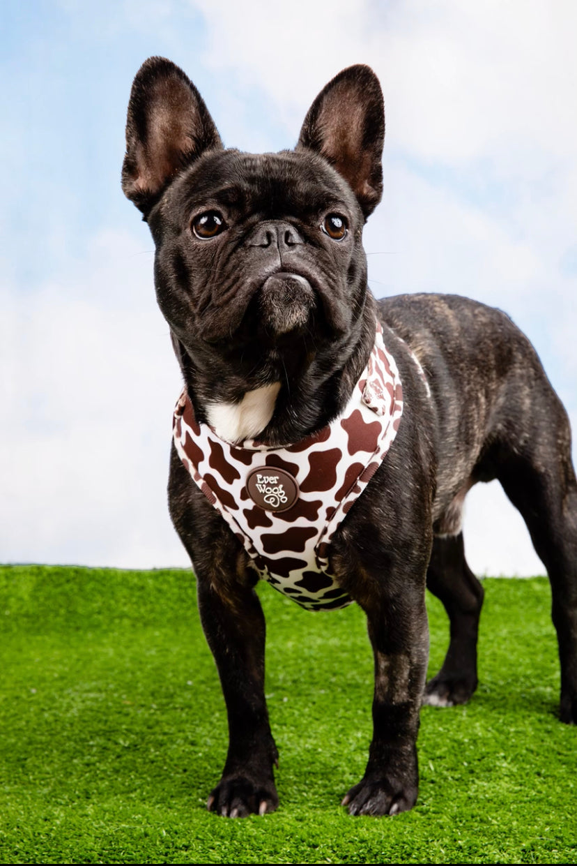 Pet Harness Harness Chocolate Cow Adjustable Harness Essenti - gallery product image for pet harness