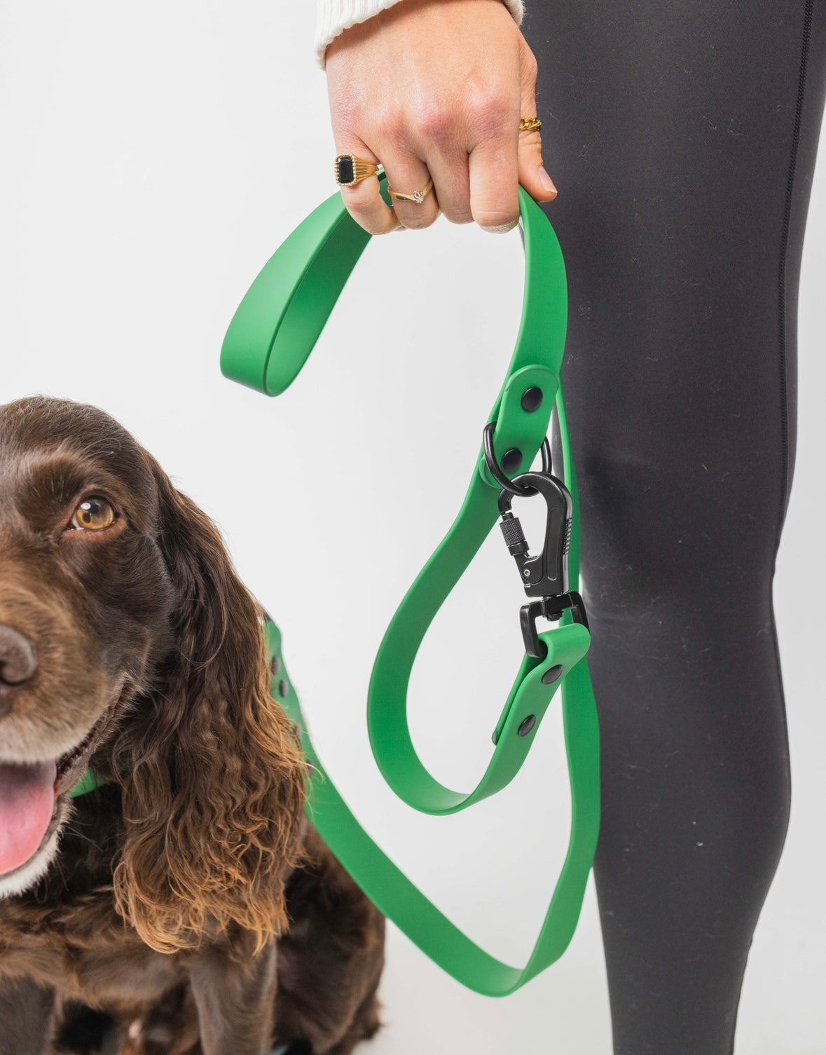Dog Leash Leash Clover Green for Everyday Walking Leash - main product image for dog leash