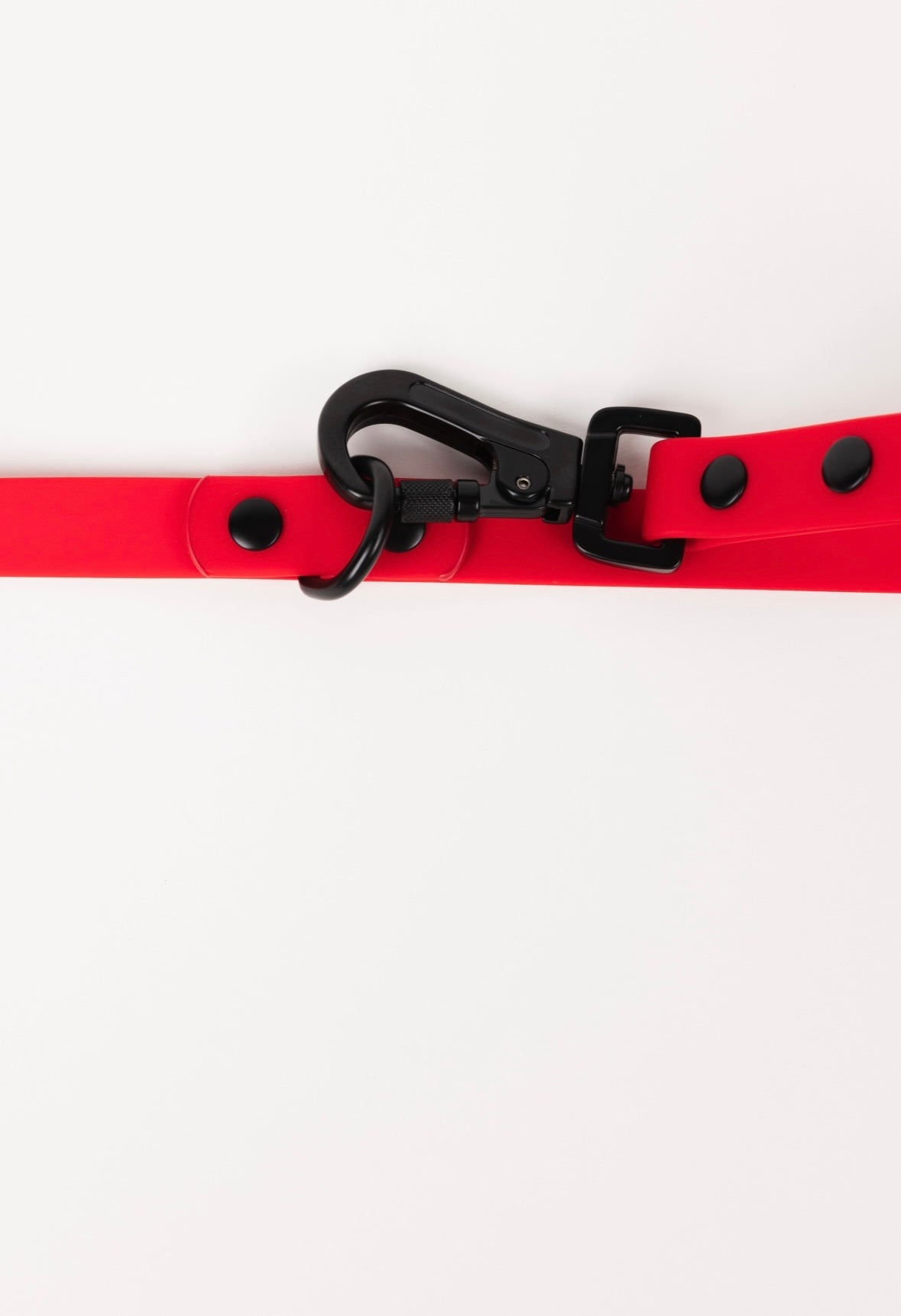 Dog Leash Leash Ruby Red Adjustable Everyday Walking Leash - close up product image for dog leash