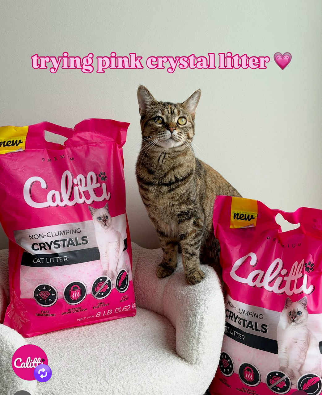 Crystal Cat Litter Unscented Non Clumping 8 Pound - main product image