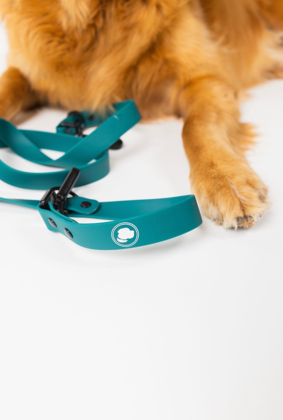 Dog Leash Accessory Forest Green Adjustable Everyday Essenti - close up product image for dog leash