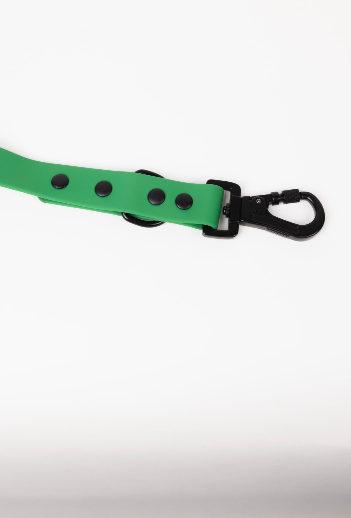 Dog Leash Leash Clover Green for Everyday Walking Leash - lifestyle product image for dog leash