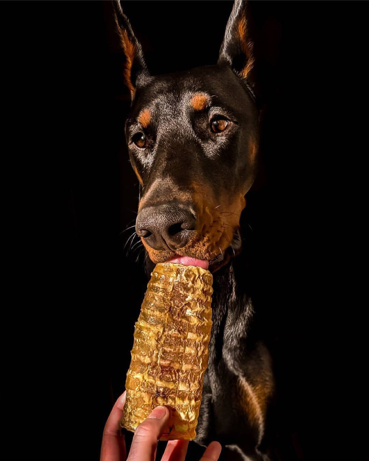 Dog Treats Beef Trachea Single Ingredient Chews Natural Rewa - gallery image 5