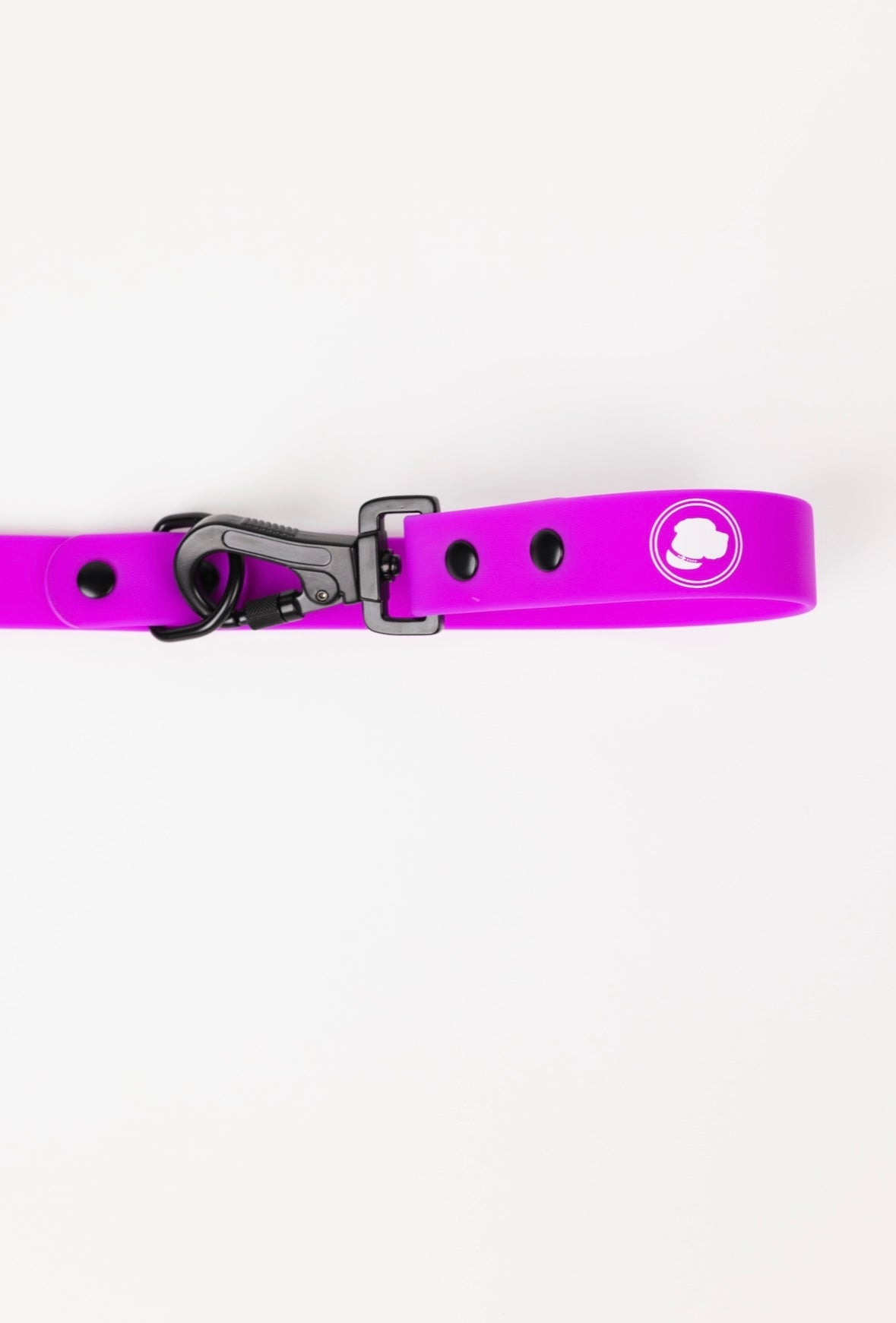 Dog Leash Leash Electric Fuchsia Everyday Walking Leash - gallery product image for dog leash