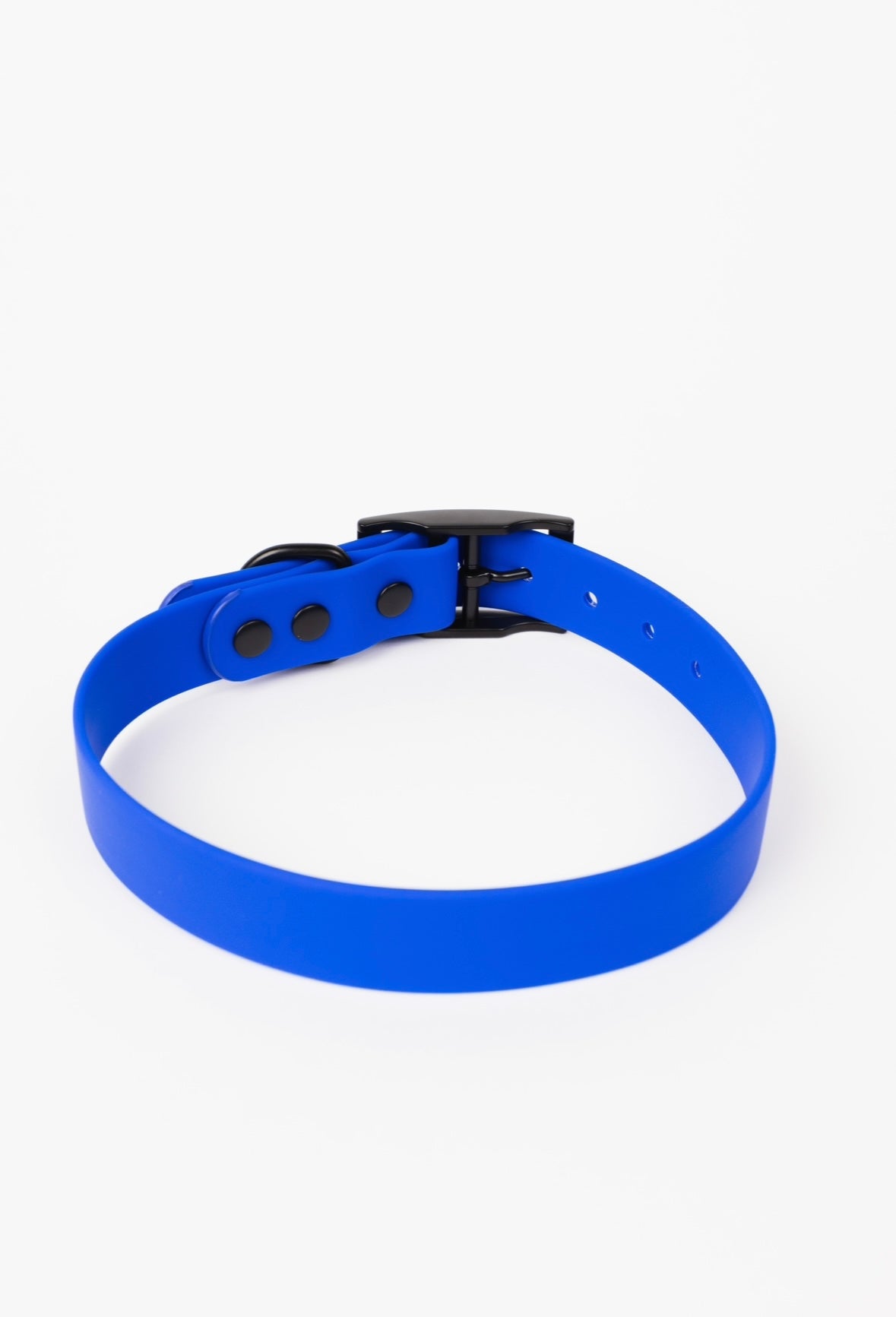 Dog Collar Collar Blue Weather Adjustable Walking Collar - detail product image for dog collar