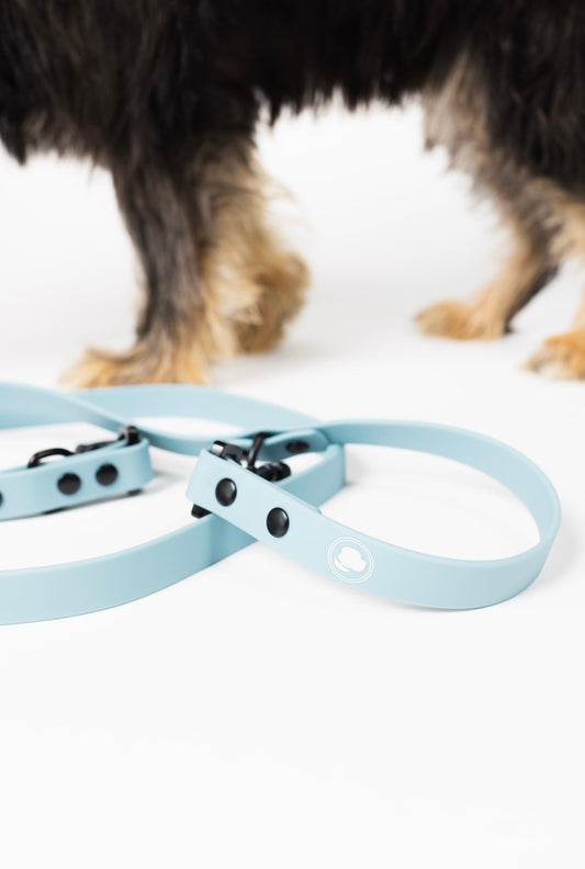 Dog Leash Accessory Dusty Blue Adjustable Everyday Accessory - main product image for dog leash