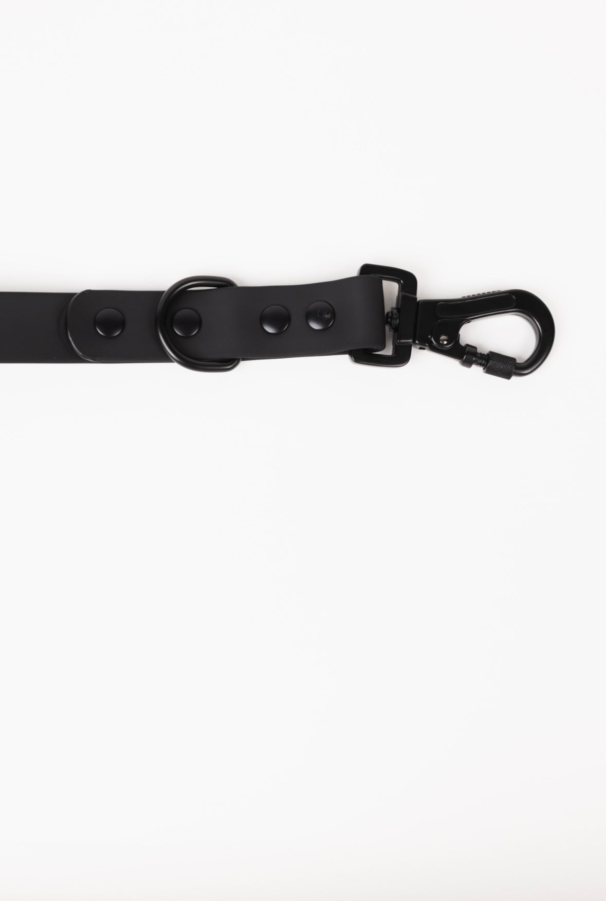 Dog Leash Leash Better in Black Everyday Walking Leash Essen - lifestyle product image for dog leash