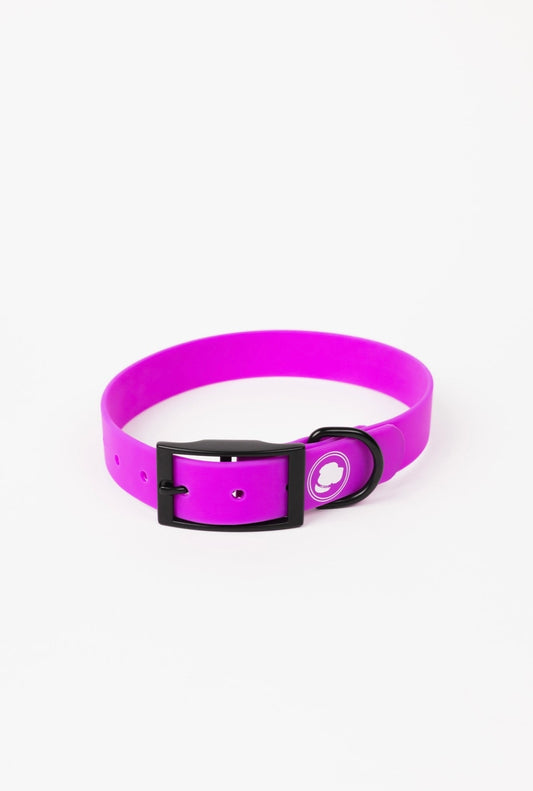 Dog Collar Collar Electric Fuchsia Adjustable Walking Collar - main product image for dog collar