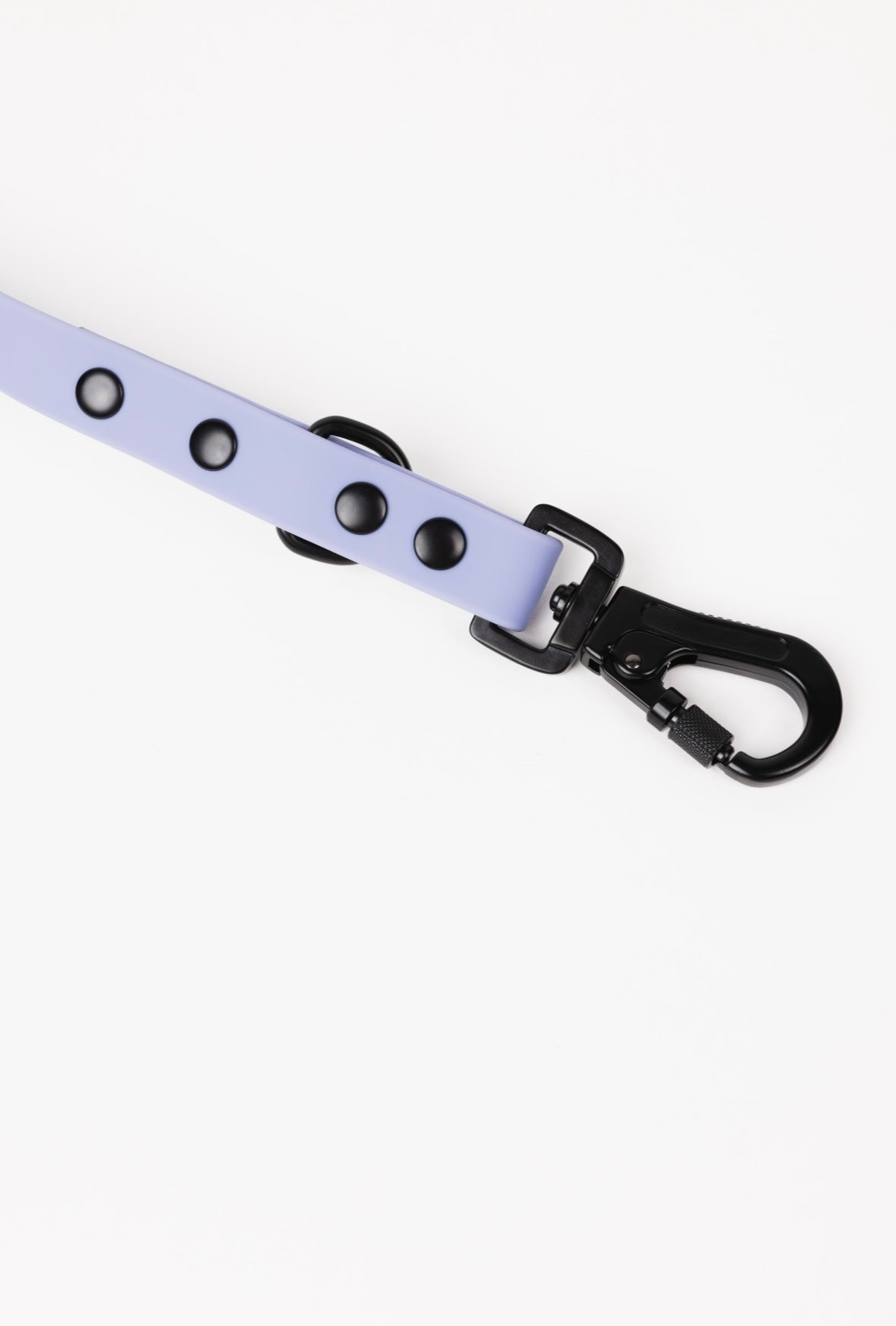 Dog Leash Accessory Lavender Purple Everyday Accessory Essen - close up product image for dog leash
